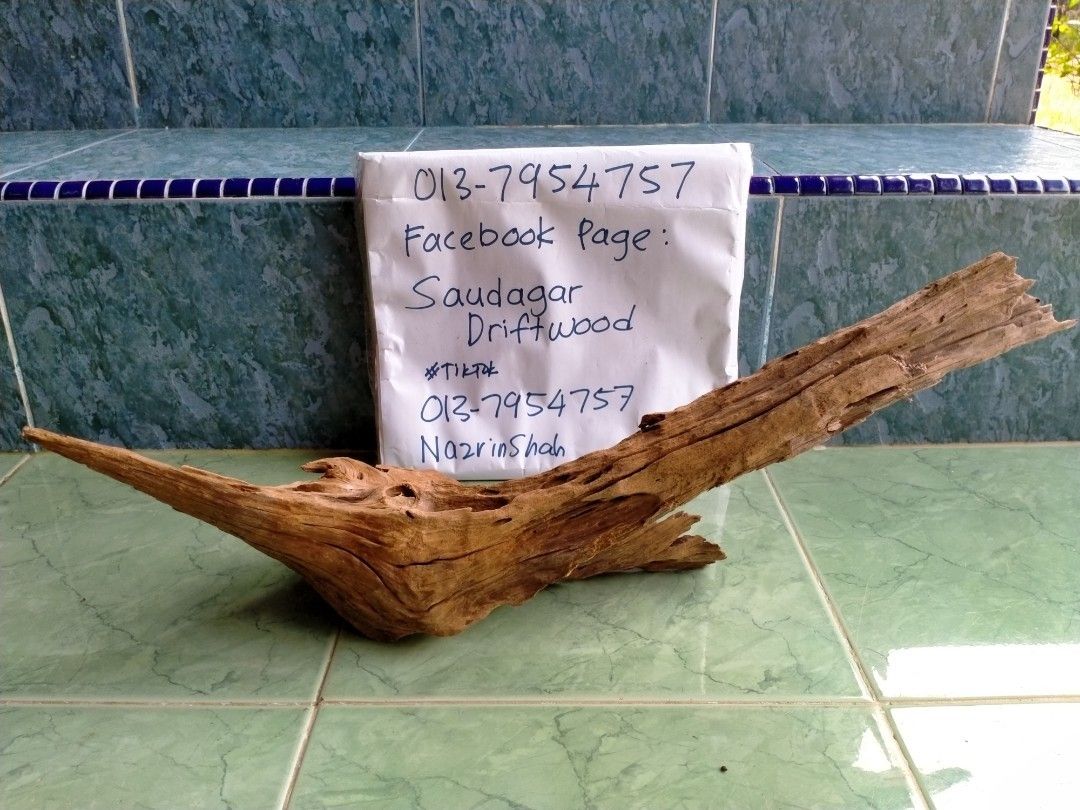 AIRPLANTS driftwood JOHOR, Furniture & Home Living, Home Decor