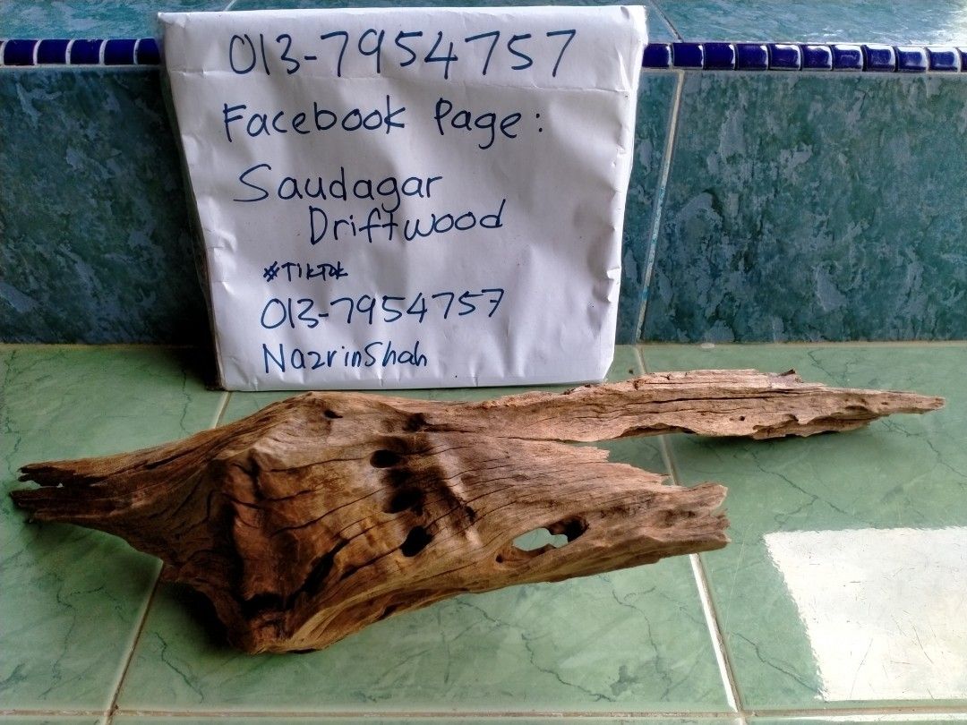 AIRPLANTS driftwood JOHOR, Furniture & Home Living, Home Decor