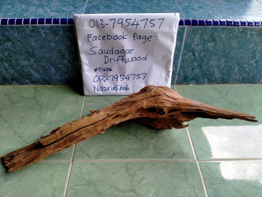 AIRPLANTS driftwood JOHOR, Furniture & Home Living, Home Decor