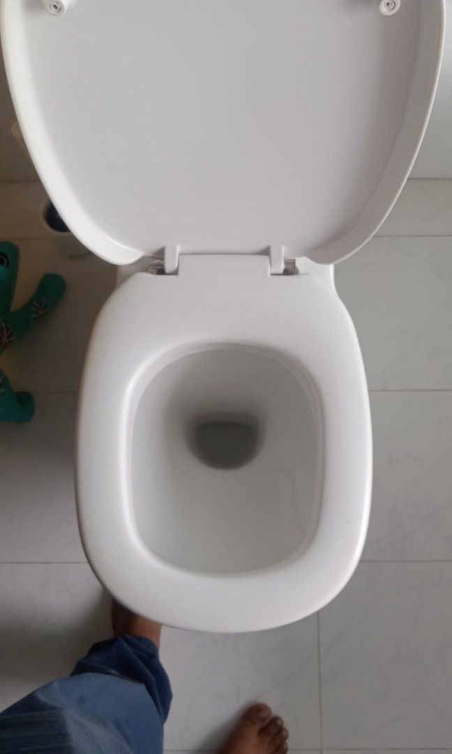 Any of plumbing & sanitary issue., Home Services, Home Repairs