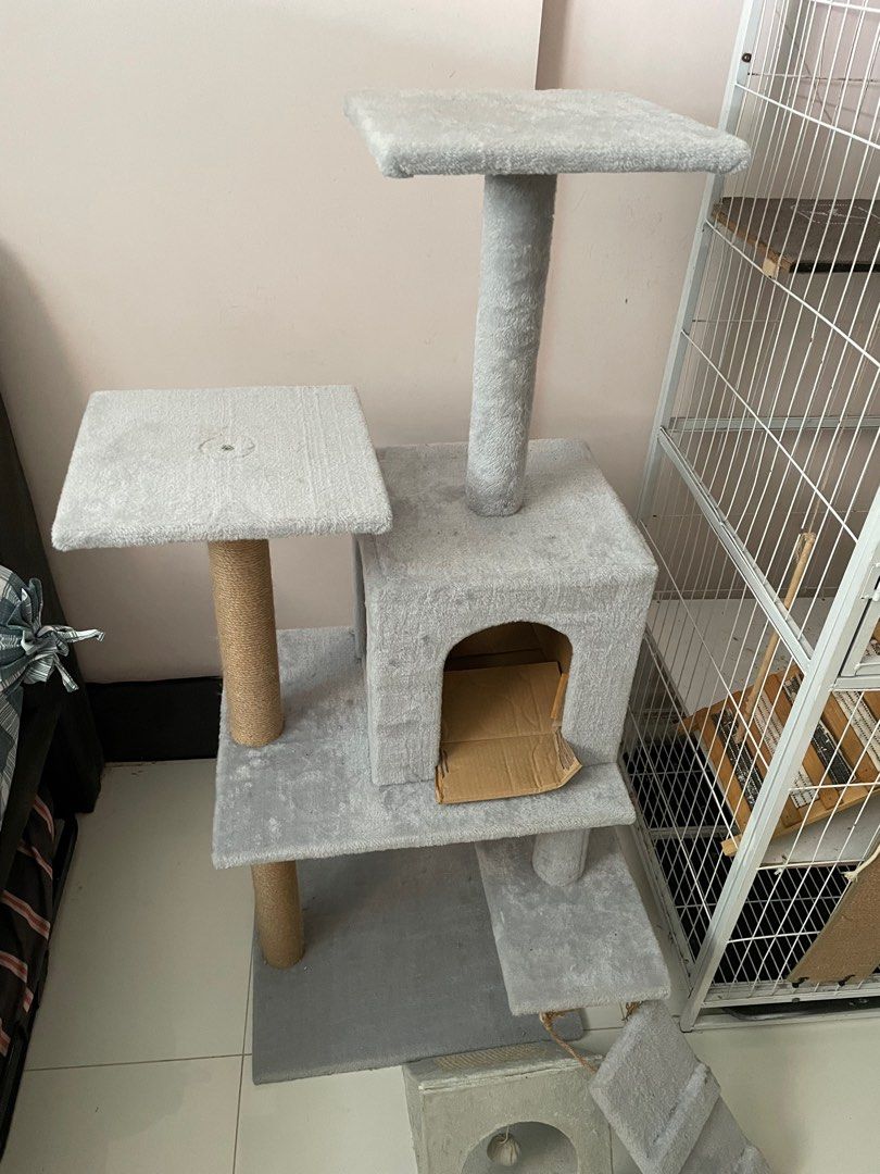 kitten tree house