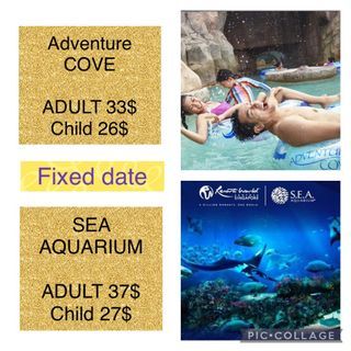 Cheapest Sea aquarium and adventure cove fixed date tickets