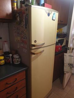 Electrolux Jewel Fridge