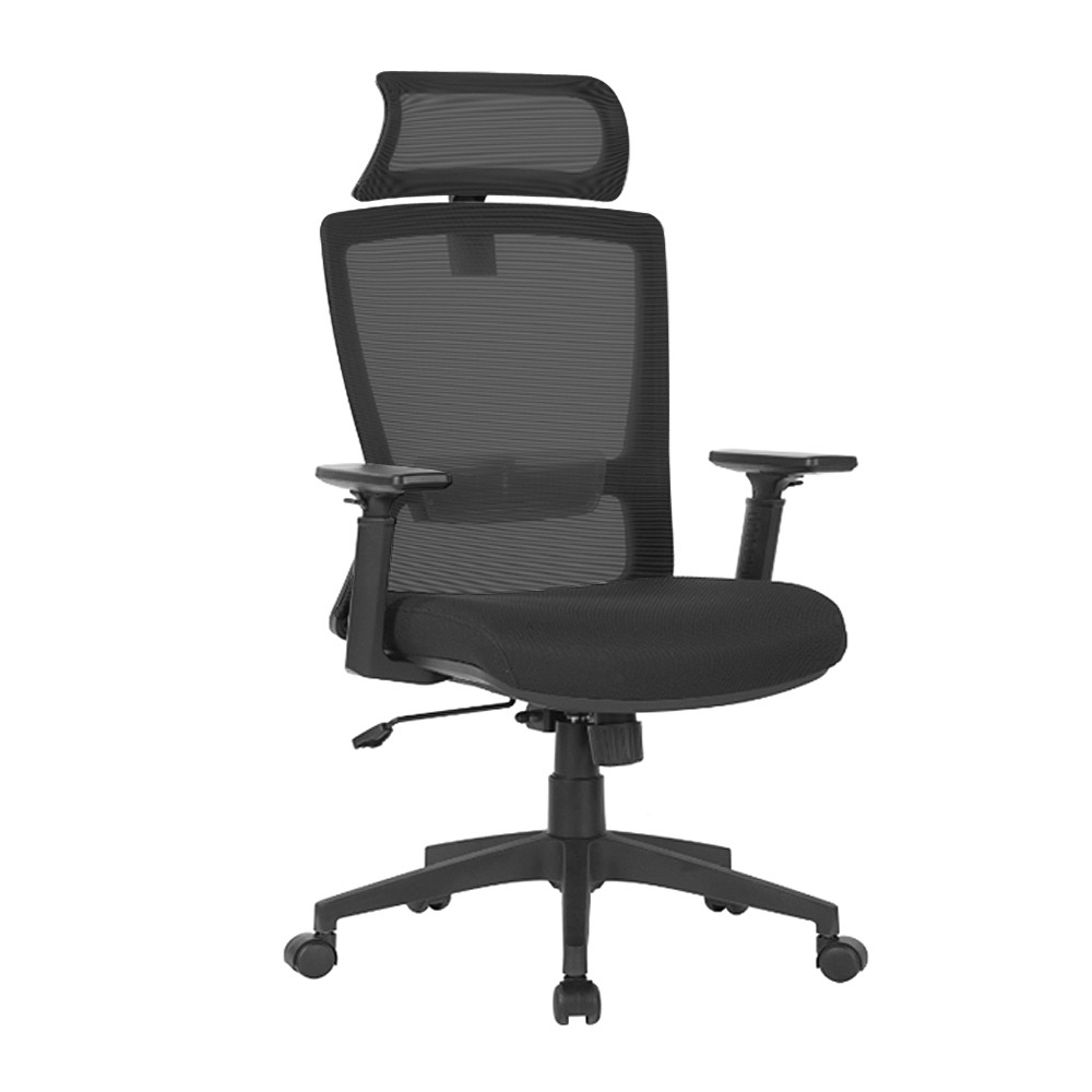 Ergodynamic STRUT V1 Mesh Chair, High back Chair, Office Chair