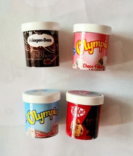 Miniature Ice-Cream Pint Magnets