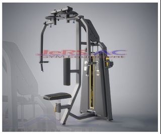 Rear Delt Pec Fly Gym Machine Fitness Equipment