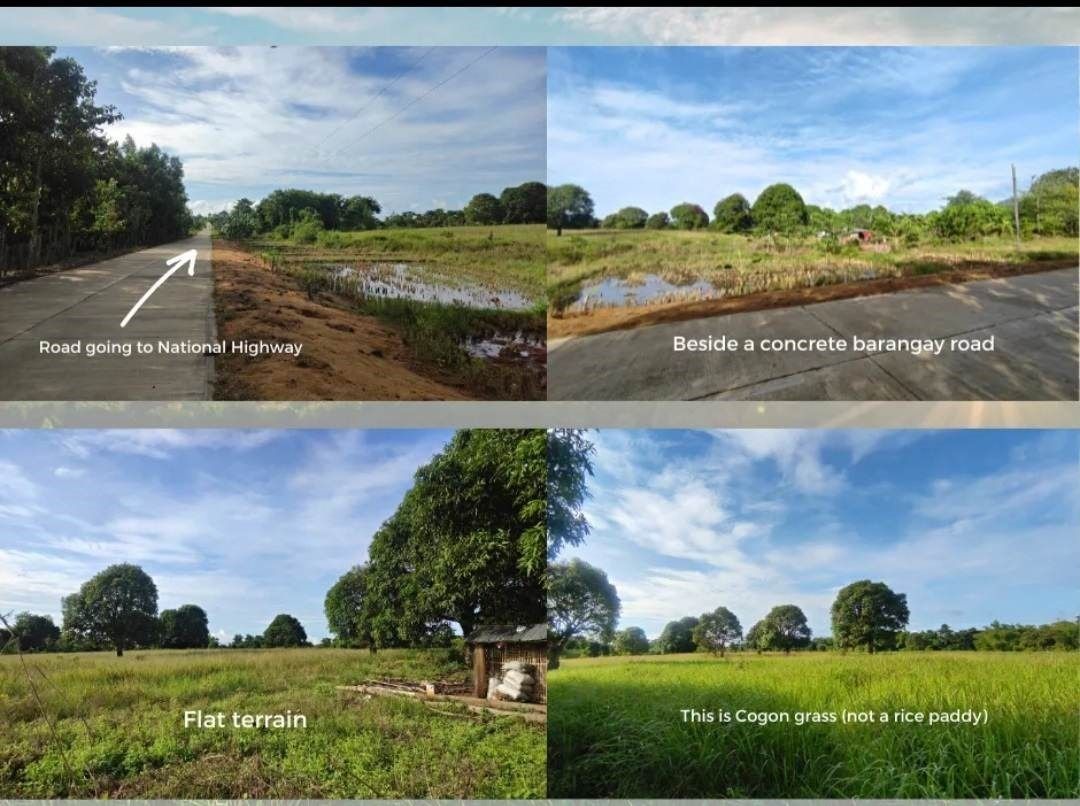 RUSH SALE NICE LOCATION 5.8 HECTARE LAND CLEAN TITLED IN NARRA PALAWAN