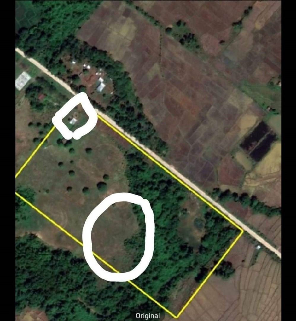 RUSH SALE NICE LOCATION 5.8 HECTARE LAND CLEAN TITLED IN NARRA PALAWAN