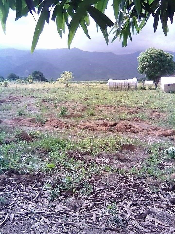 RUSH SALE NICE LOCATION 5.8 HECTARE LAND CLEAN TITLED IN NARRA PALAWAN