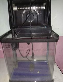 (Category: ) located in . Submitted by filia_ (Listing ID 1215374550, Image 1). Description: .