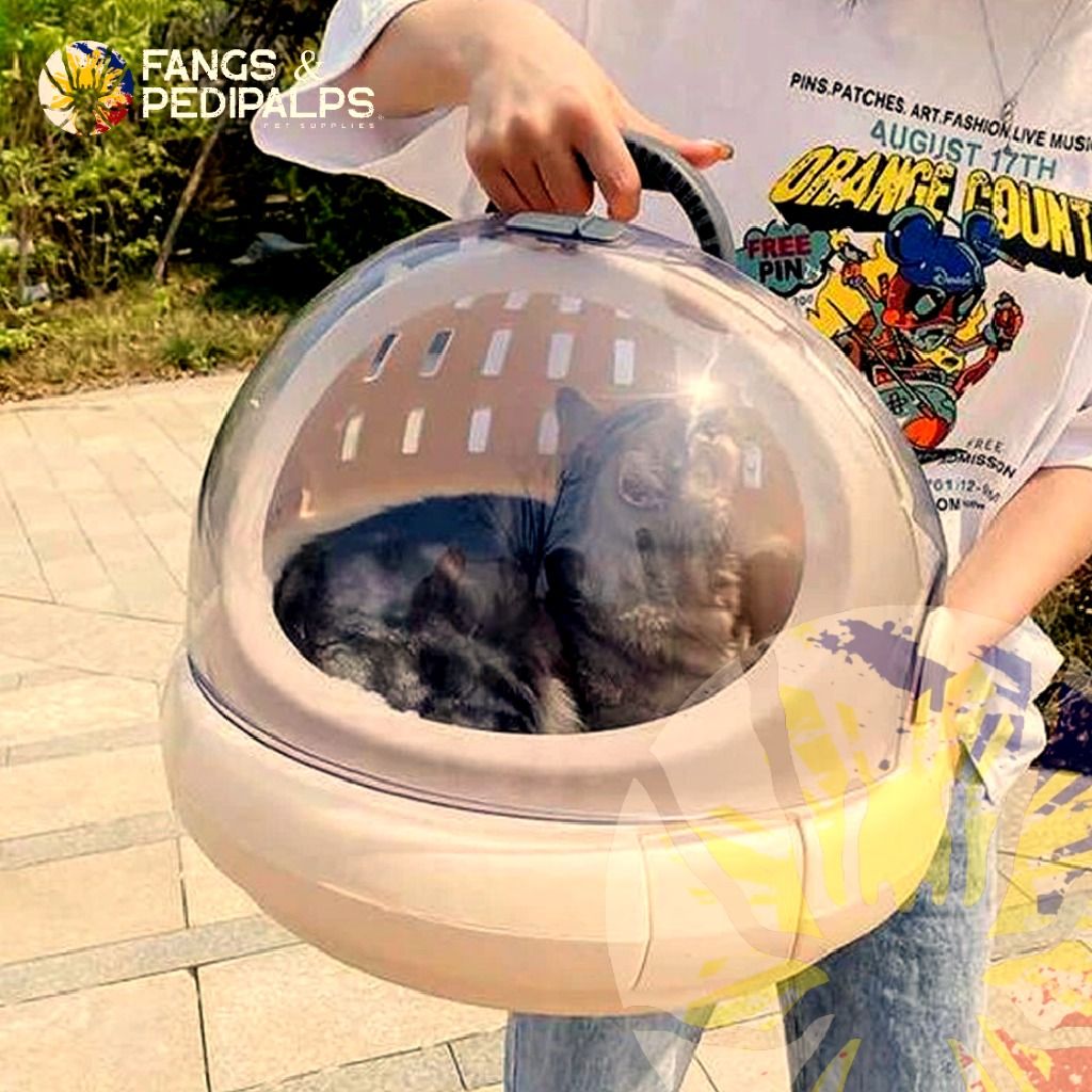 Capsule cat carrier 2025