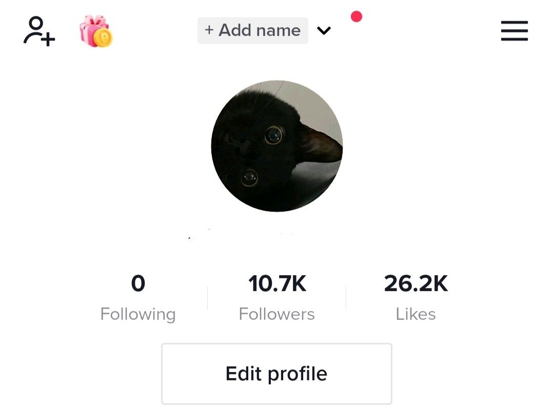 TIKTOK ACCOUNT FOR SALE, Video Gaming, Gaming Accessories, Game Gift