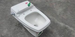 toilet bowl and sink