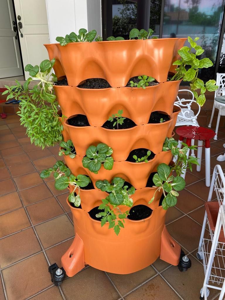 Vegetables planter, Furniture & Home Living, Gardening, Pots & Planters