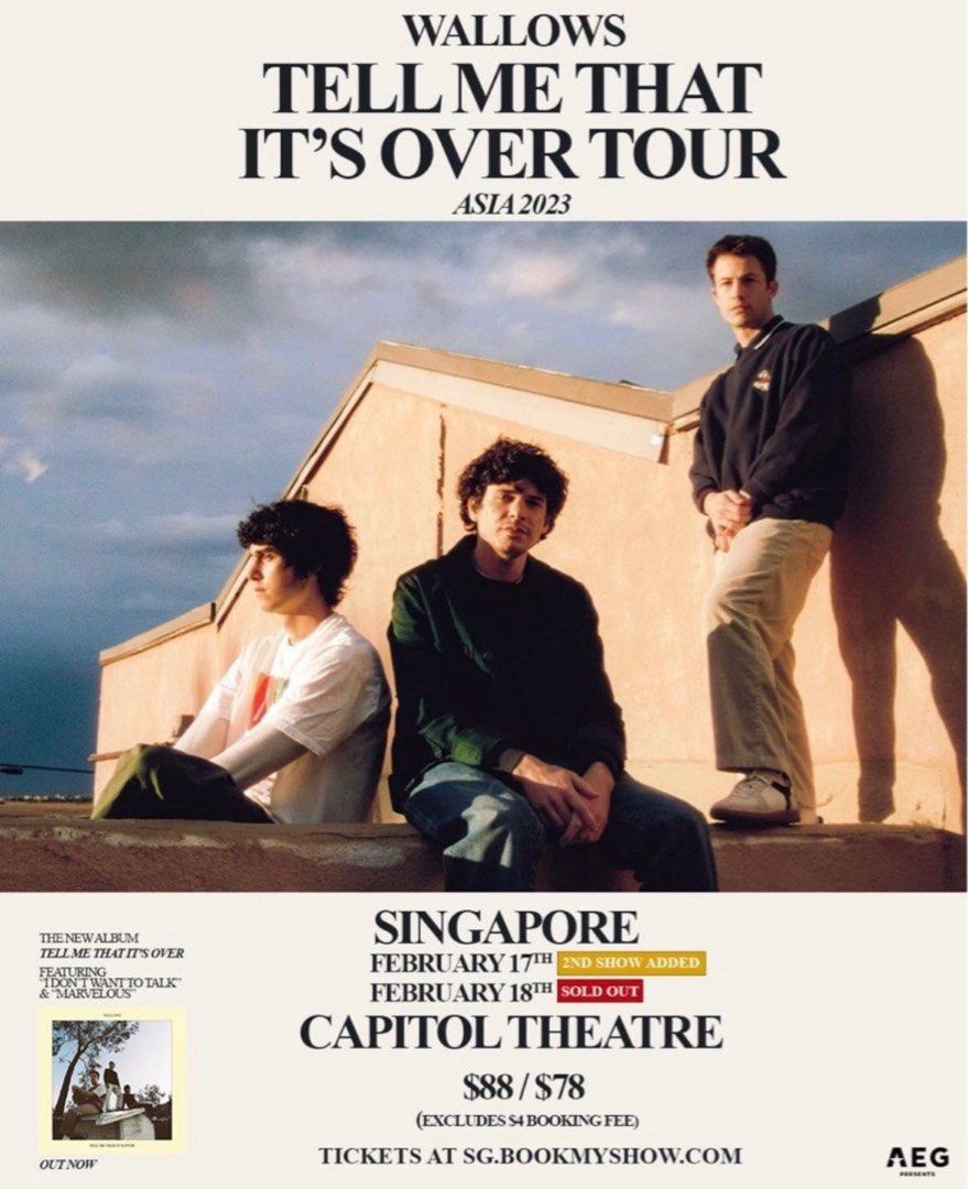 17 feb wallows STANDING ticket, Tickets & Vouchers, Event Tickets on