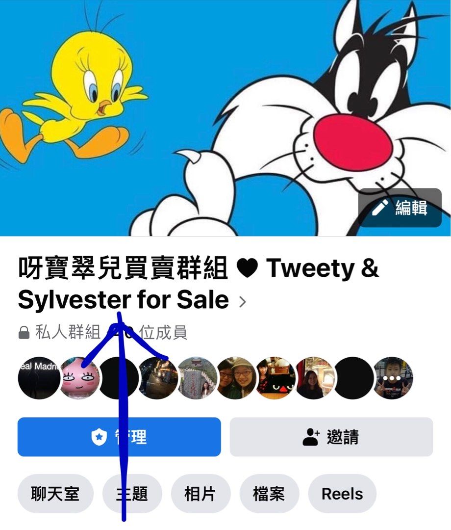 日本直送 翠兒雜物袋 雜物袋 pouch 華納 翠兒 looneytunes tweety 阿寶翠兒 阿寶 sylvester 翠儿 翠兒鳥 ...