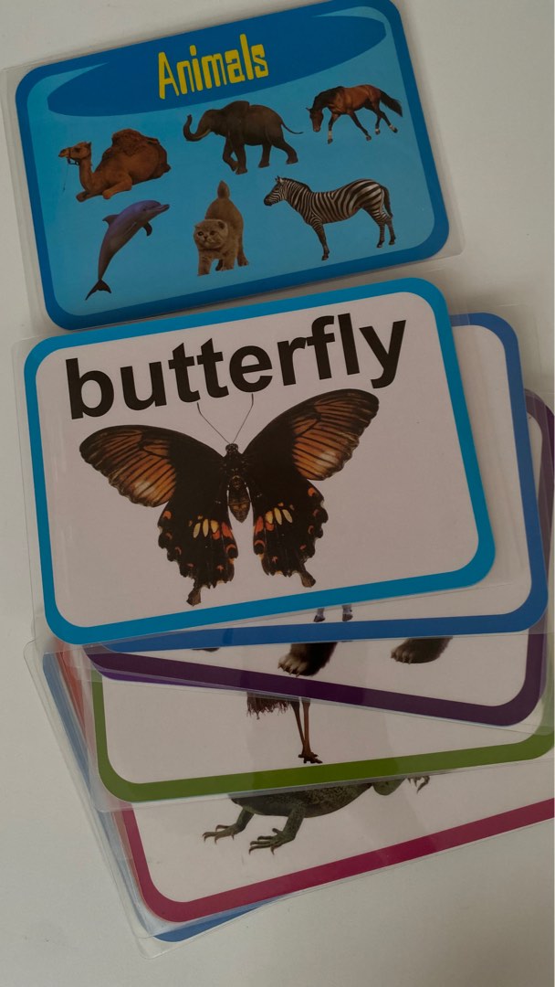 Animals Laminated Flash Cards for kids on Carousell