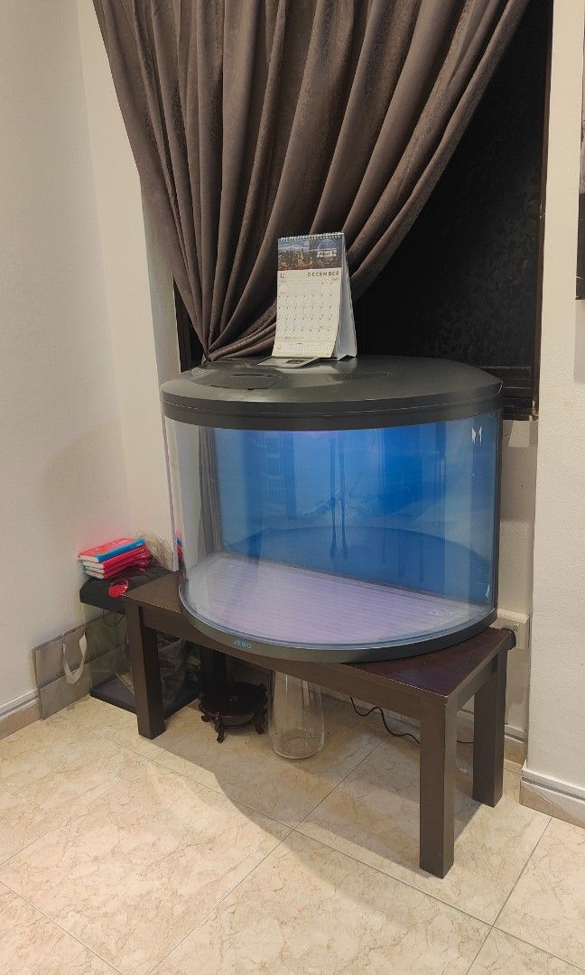 Oval fish shop tank