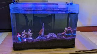 (Category: ) located in . Submitted by sellsmart (Listing ID 1215502571, Image 1). Description: .
