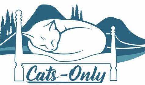 Cats only sales hotel