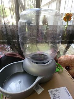 (Category: ) located in . Submitted by ahduchiang (Listing ID 1215575935, Image 1). Description: .