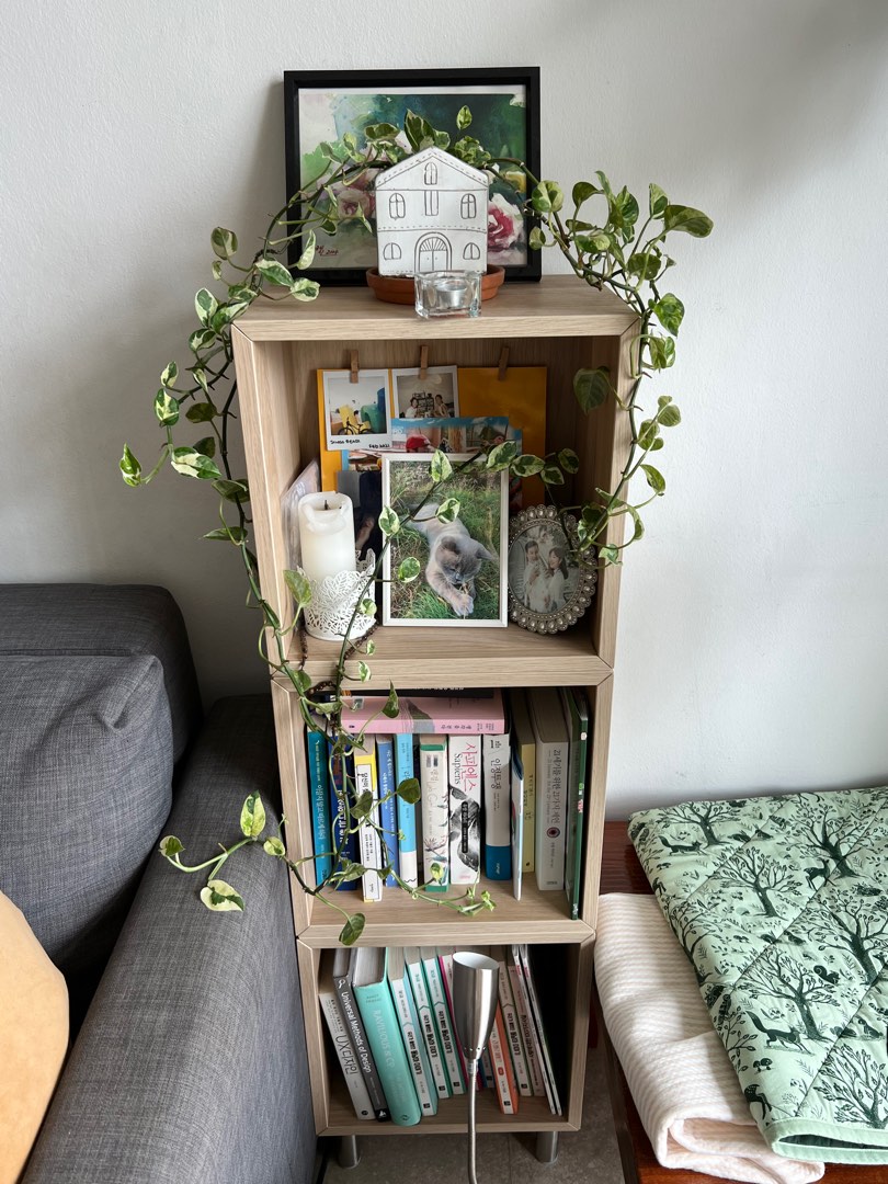 Ikea book shelves 3 units, Furniture & Home Living, Furniture, Shelves