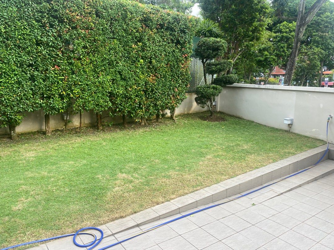 Landscape64884983882754110