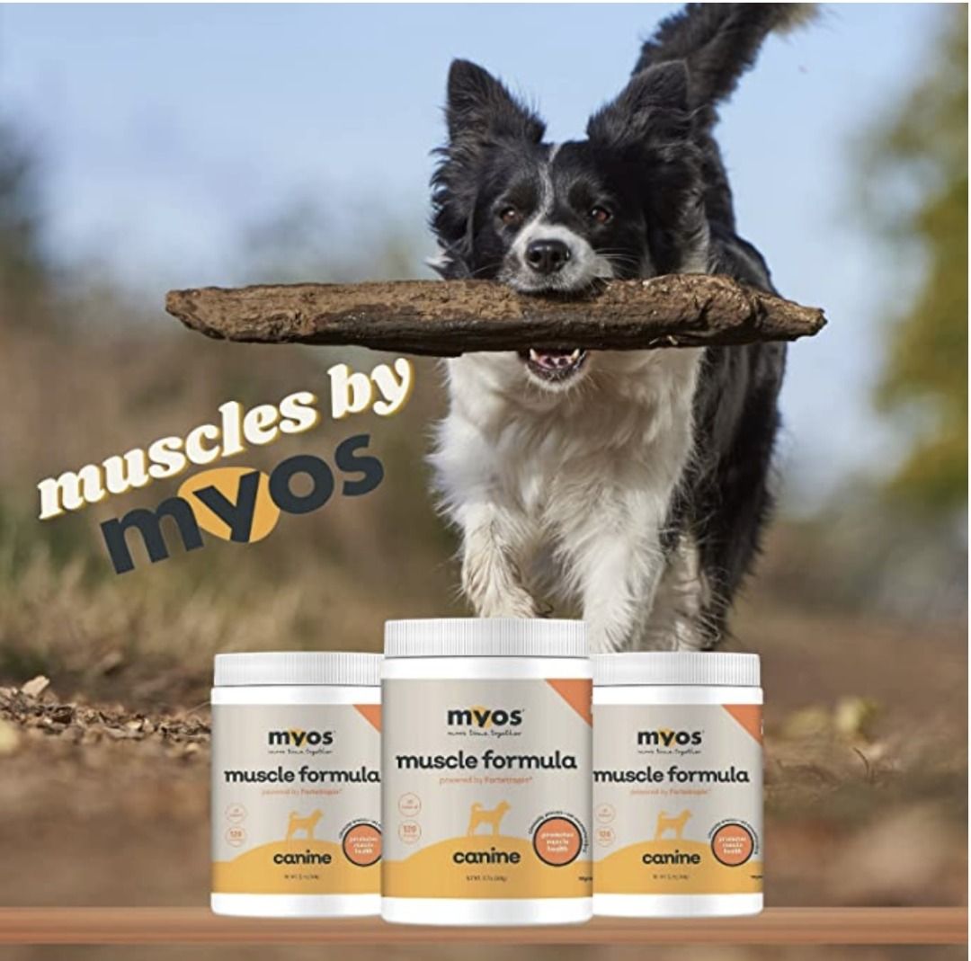 MYOS Canine Muscle Formula Clinically Proven AllNatural Muscle