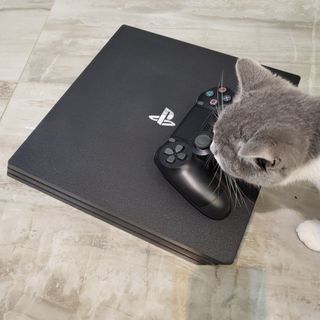 （分類：）位於 。 由 livepenguin_000ca3 提交（商品編號 1215594778，圖片 1）。簡介： 。