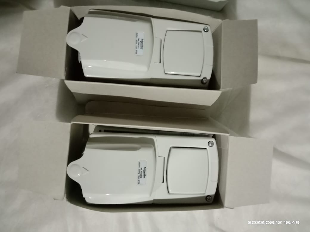 SCHNEIDER OUTDOOR SWITCH AND TRIPLE PLUG, Services, Home Services