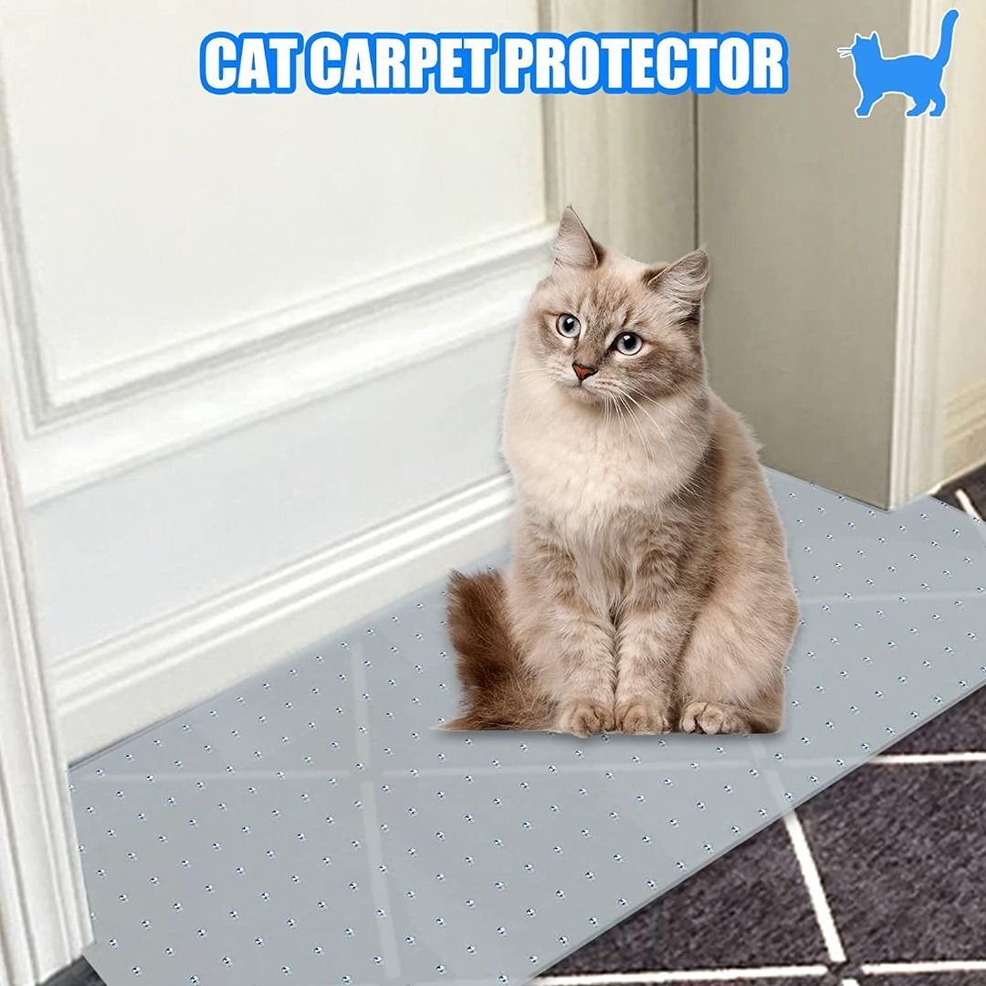 Cat keeps scratching carpet by hot sale door