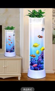 魚缸套裝