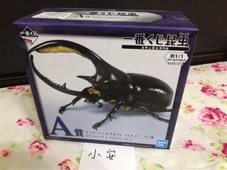 由 appleanan (刊登 ID 1215829054，圖片 1) 提交，位於 的 (類別：)，說明：。