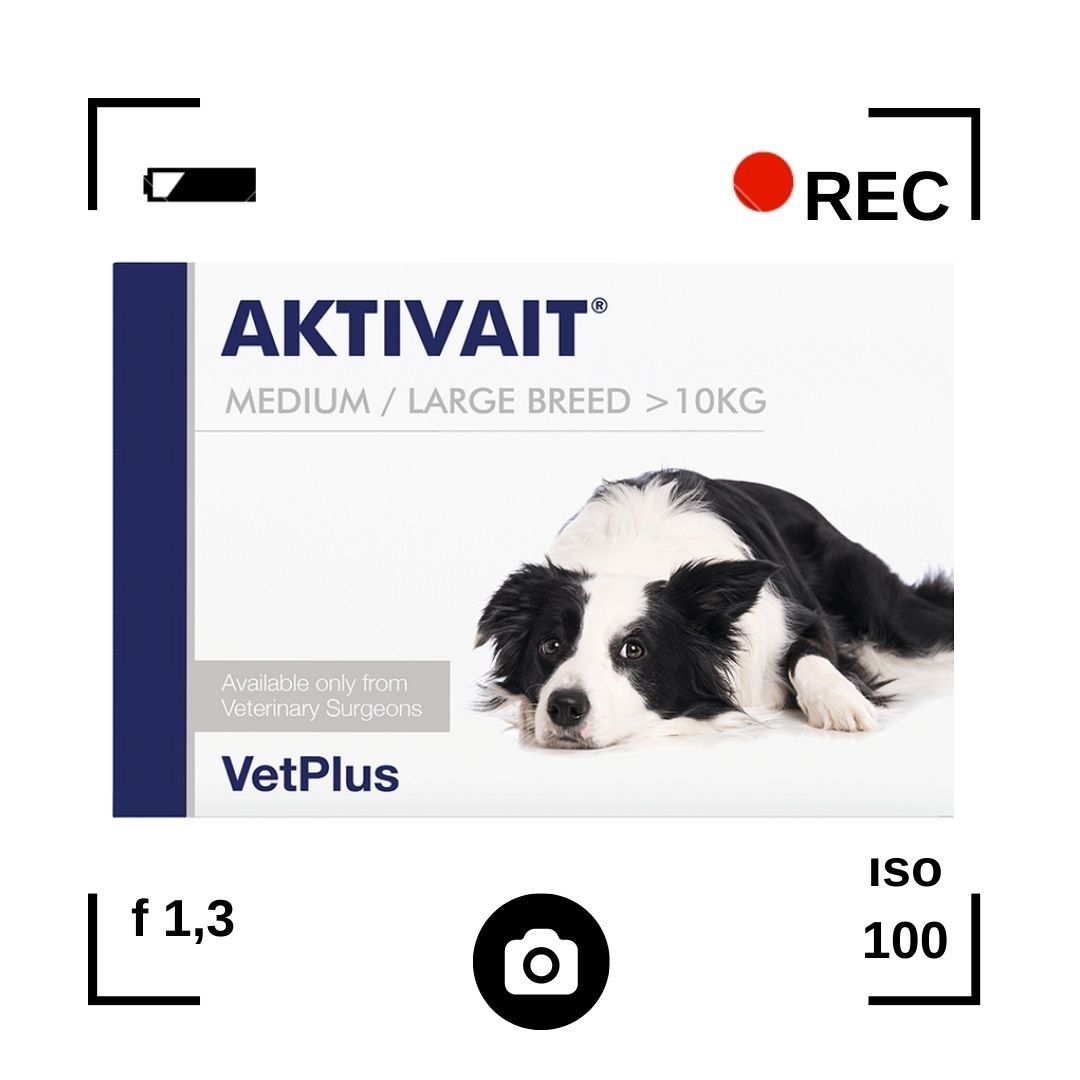Aktivait dog Small Breed