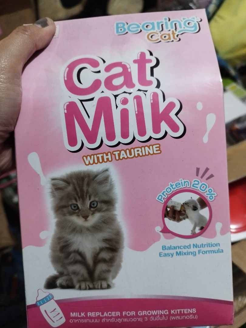 Bearing cat milk