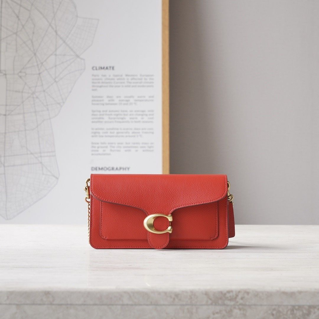 Tabby discount chain crossbody