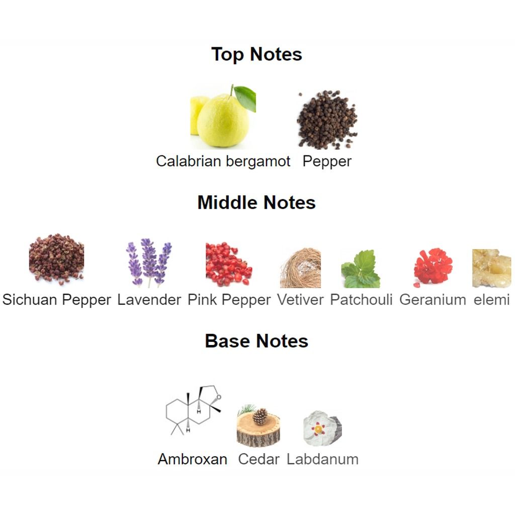 Sauvage edt notes sales