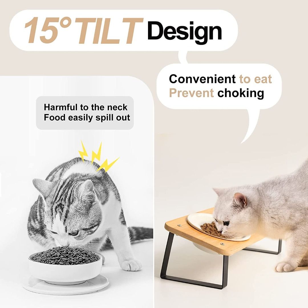 Elevated cat top feeding platform