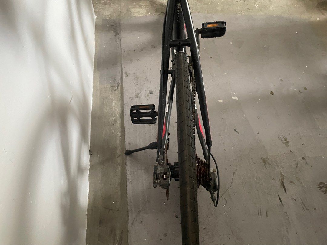 3g venice beach cruiser