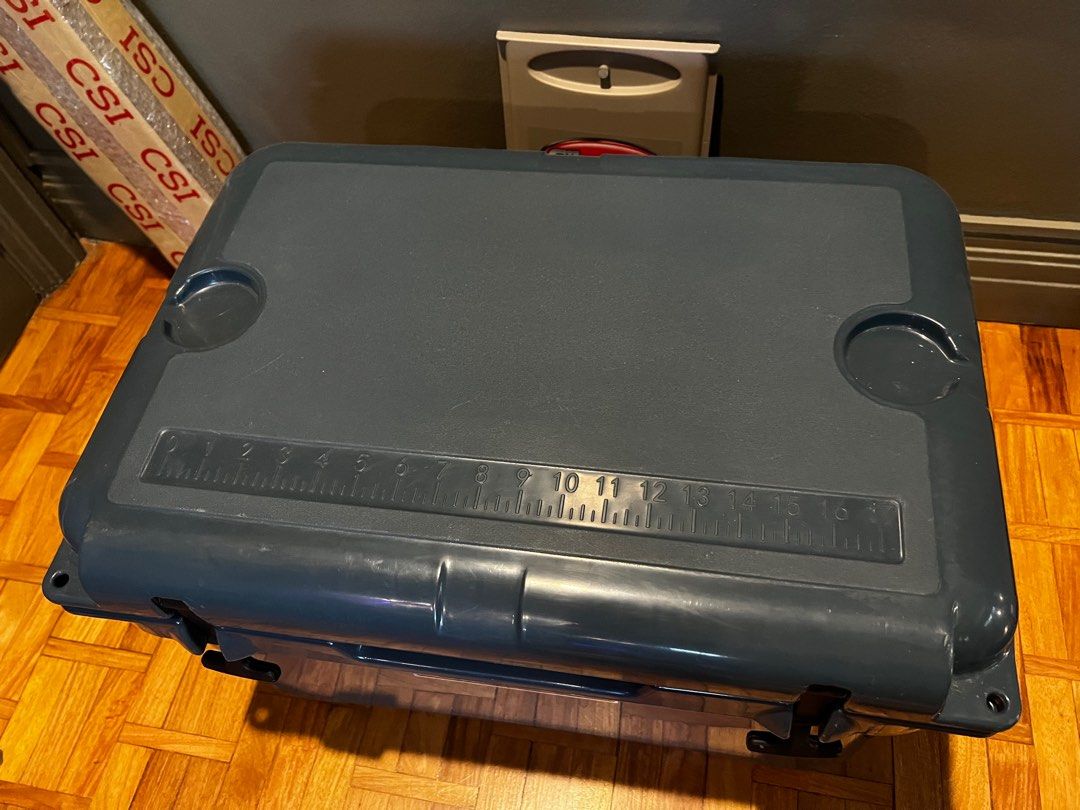 Greenland Cooler on Carousell