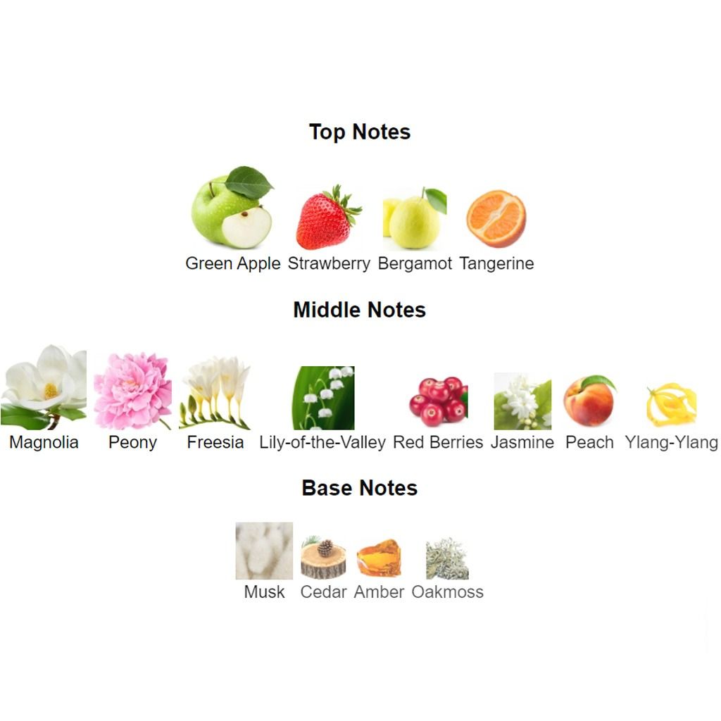 Guess perfume notes online
