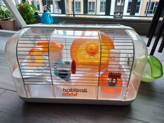 (Category: ) located in . Submitted by babyplus2 (Listing ID 1215787258, Image 1). Description: .