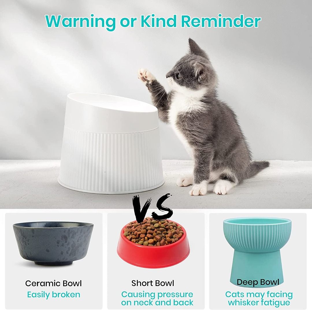 iPettie Elevated Cat Food Bowl Cat Dish Tilted Pet Feeding