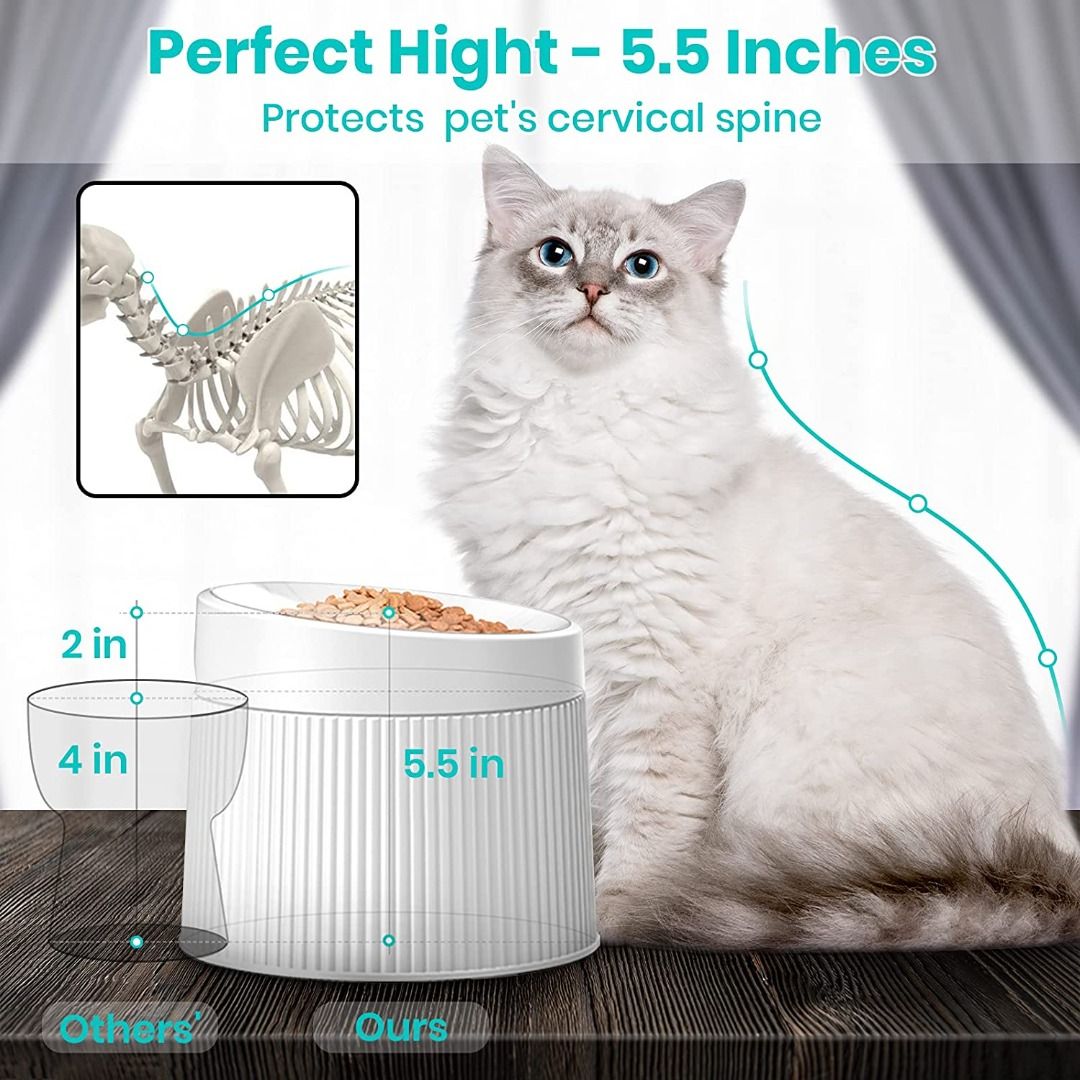 Elevated cat sale feeding station