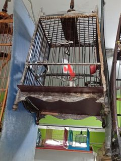 (Category: ) located in . Submitted by darmawulam (Listing ID 1215713459, Image 1). Description: .