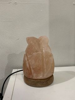 Mini Himalayan Salt Lamp