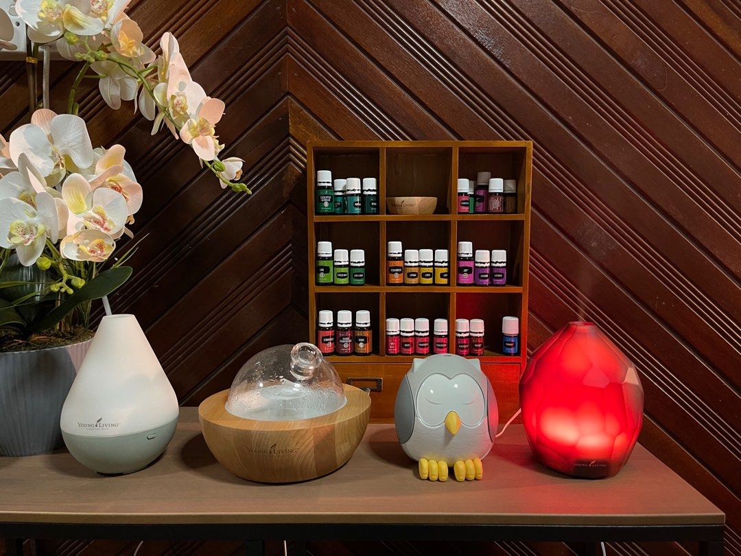 OWL DIFFUSERS YOUNG LIVING WITH FREE OIL (RANDOM OIL), Furniture & Home