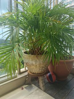 (Category: ) located in . Submitted by aarti1 (Listing ID 1215713099, Image 1). Description: .