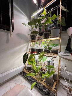 (Category: ) located in . Submitted by jnnmrie (Listing ID 1215834072, Image 1). Description: .