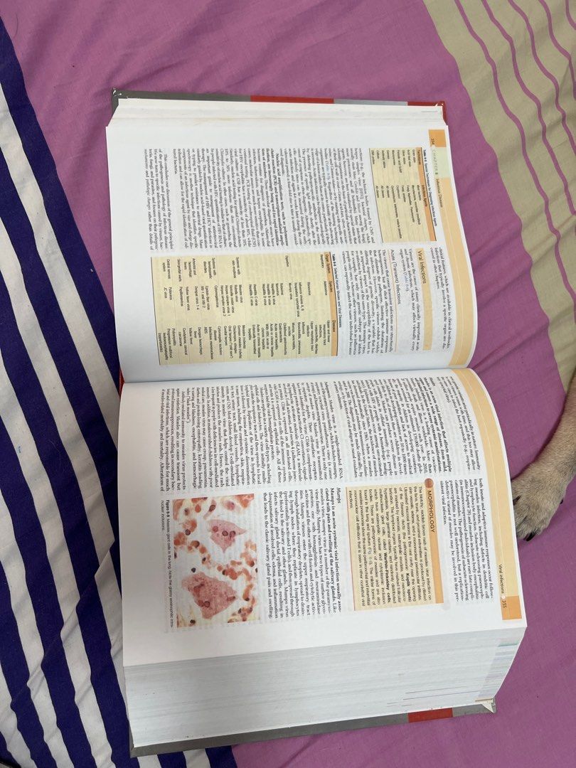 Robbins and Cotran Pathologic Basis of Disease (Category: Textbooks) located in Manila. Submitted by cheemishops (Listing ID 1215744568, Image 2). Description: Robbins and Cotran Reprinted Very minimal highlights .